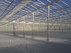 Venlo Multi-Span Greenhouse