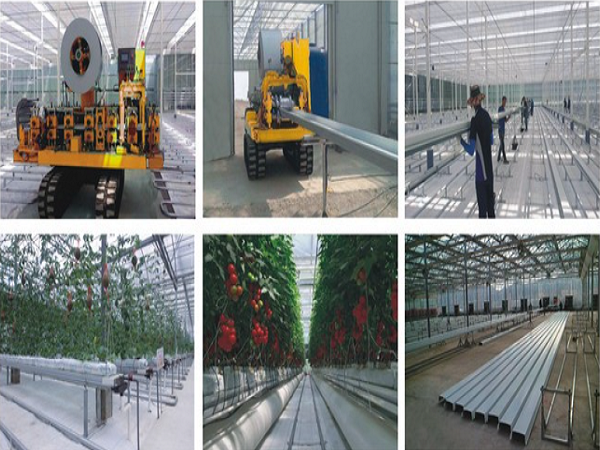 Tomato greenhouse project in Qingdao city