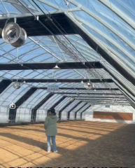 Light Deprivation greenhouse planting cannabis for USA client