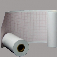 ECG Thermal Paper Six Channel 110mmx20m (100 rolls)