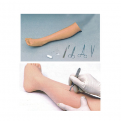 KAS/FT Surgical Suture Leg Model