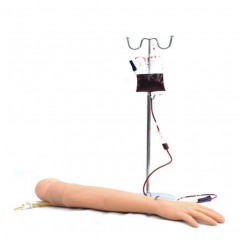 KAS/S2 Arm Venipuncture & Intramuscular Injection Training Model