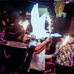 Nightclub party LED flying grey goose bottle presenter for vodka
