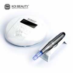 Permanent Makeup Derma Pen Digital Tattoo Integrated Machine facial skin rejuvenation Kits  Micro Tattoo Needles MTS PMU System