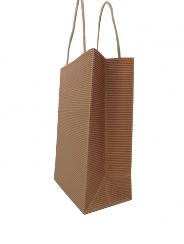 paper bag 3