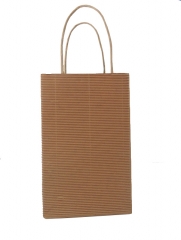 paper bag 3