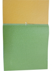 Cattle paper  2