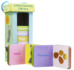 Children's Book-Little Learning Library
