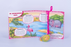 Board Book