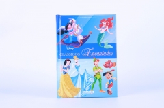 Padded Hardcover Books