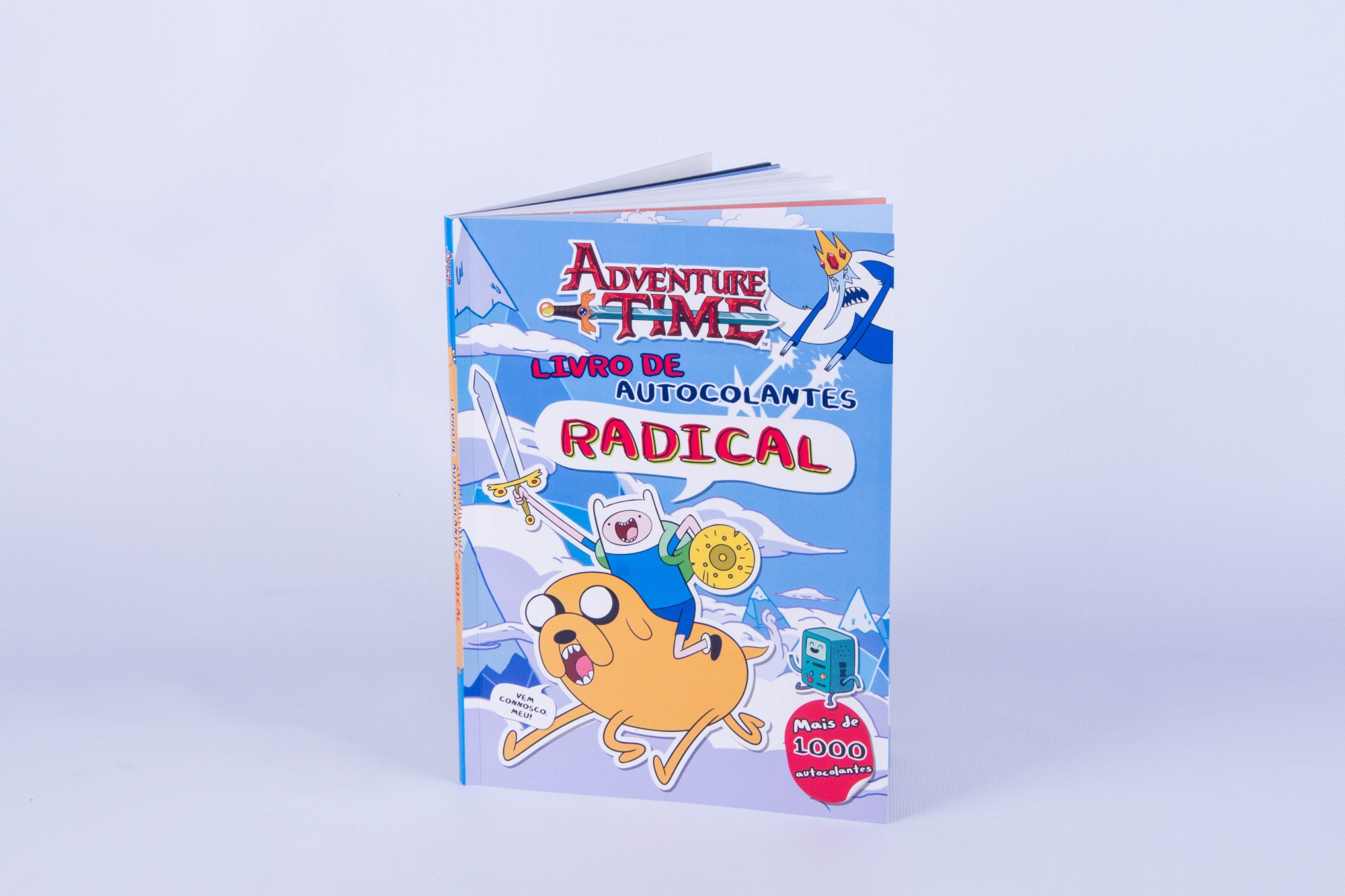 Sticker Book