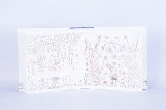 Laser Glyphography Hardcover Book