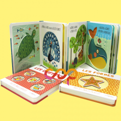 Great Fun In and Out Boardbook