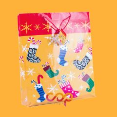 Colorful Christmas bag with rope