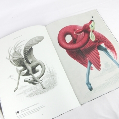 Big hard cover book