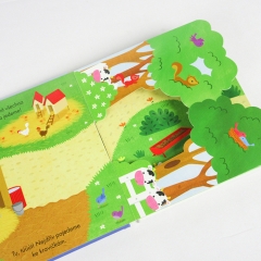 hard cover die cut book