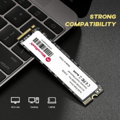 Microflash 128GB 256GB 512GB 1TB 2TB M2 M.2 2280 PCIe 3.0 3x4 NVMe Interface Internal SSD Solid State Drives