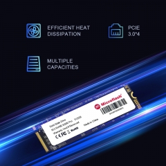 Microflash 128GB 256GB 512GB 1TB 2TB M2 M.2 2280 PCIe 3.0 3x4 NVMe Interface Internal SSD Solid State Drives