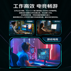 M450 PRO PCIe 4.0 固态硬盘