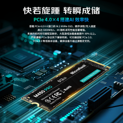 M450 PRO PCIe 4.0 固态硬盘