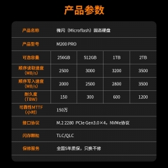M200 PRO PCIe 3.0 固态硬盘