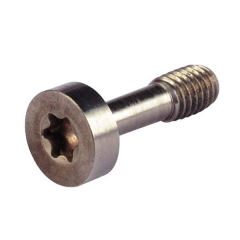 Torx screw-9