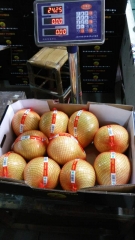 pomelo