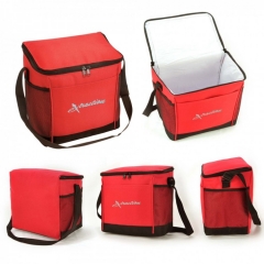 G4850/YB4850 - Handy Cooler Bag