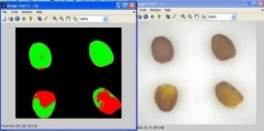 fruit medjoul dates palm optical digital sorting grading machine with camera dates processing multepak