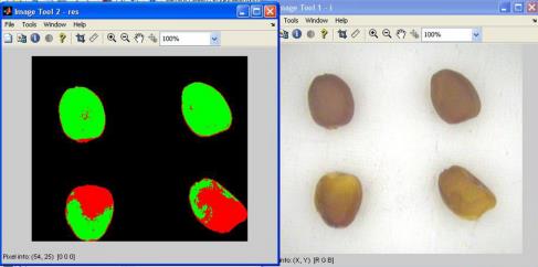 fruit medjoul dates palm optical digital sorting grading machine with camera dates processing multepak