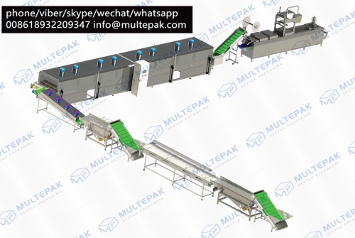 dates processing line dates washing drying heating cutting pitting vacuum packaging machine