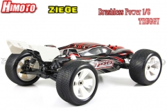 " Ziegz  1:8 SCALE RTR 4WD ELECTRIC POWER OFF ROAD TRUGGY "