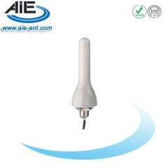 2.4G Terminal Antenna