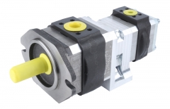 Multiple internal gear pumps