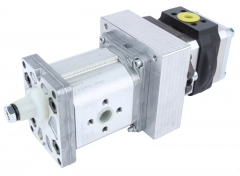 Multiple internal gear pumps