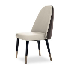 Ekar Luxury Velvet Surface minimalist Dining Chair