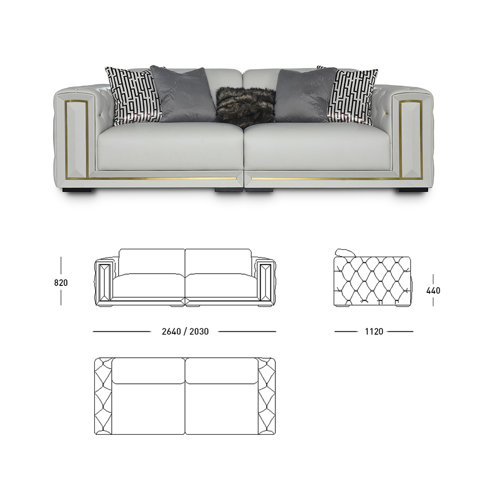 Contemporary Sofa for Home