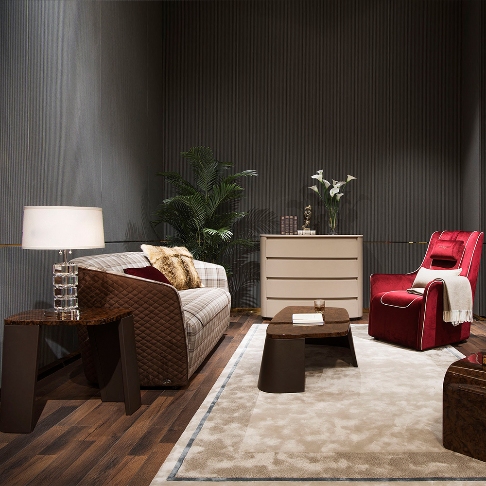 Elegant living room furniture