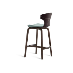 Ashwood in matte black base dining chair