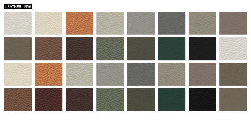 Standard Leather Color System