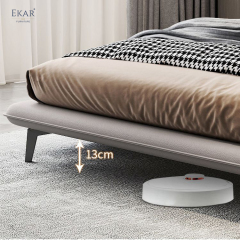 EKAR FURNITURE's Sleek Leather and Iron Bed - Light Luxury at Its Finest