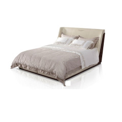 Modern design style bedroom bed