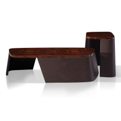 Elegant wood veneer living room coffee table