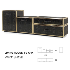 Modular multifunctional home living room TV cabinet