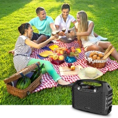 Hotec Wireless Portable PA Speaker System