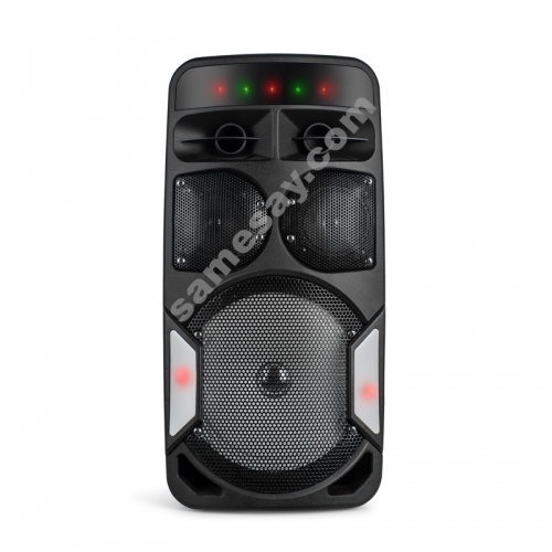 DJ Party Speaker PT1203