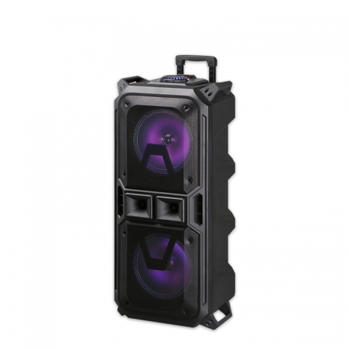 Trolley Dual 8" Speaker PT980