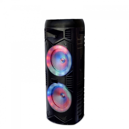 Dual 8" Party Speaker PT986