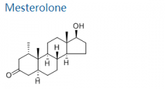 Mesterolone CAS:1424-00-6