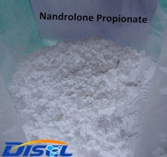 99% Steroid Powder Nandrolone Propionate for Muscle Growth CAS: 7207-92-3